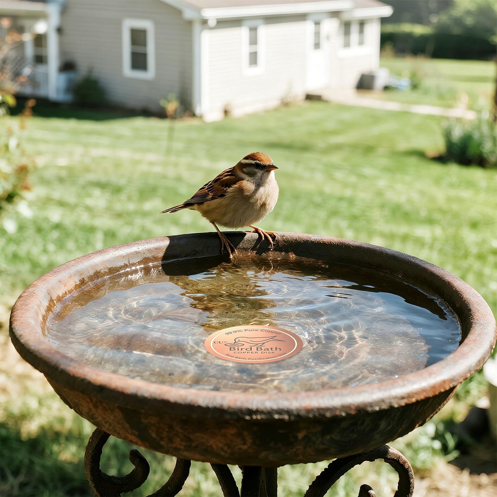Copper Disc for Bird Bath 0.6m - đánh giá và giá Farming A