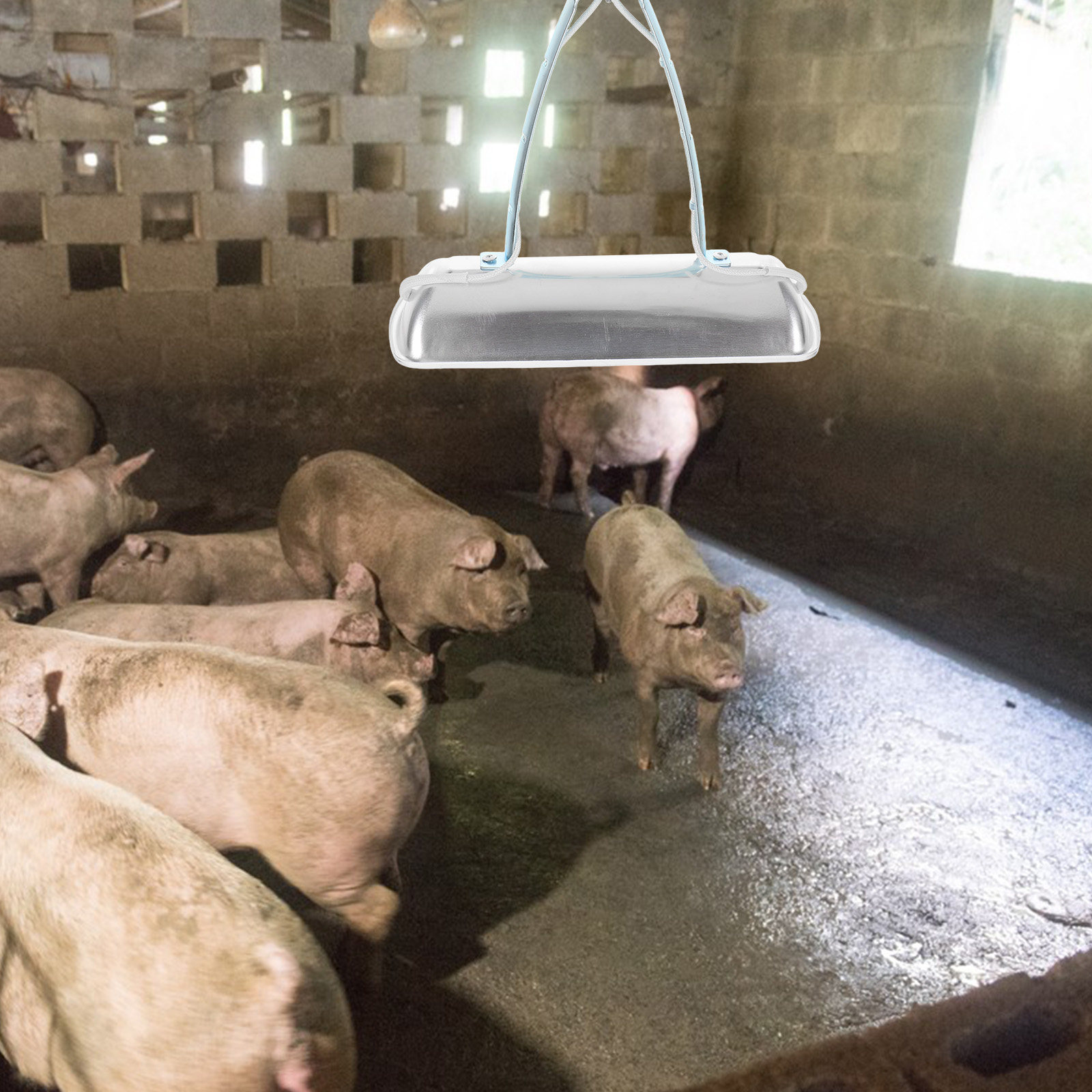 Pig Farm Heat Lamp Bulb E27 25 - đánh giá và giá Farming A